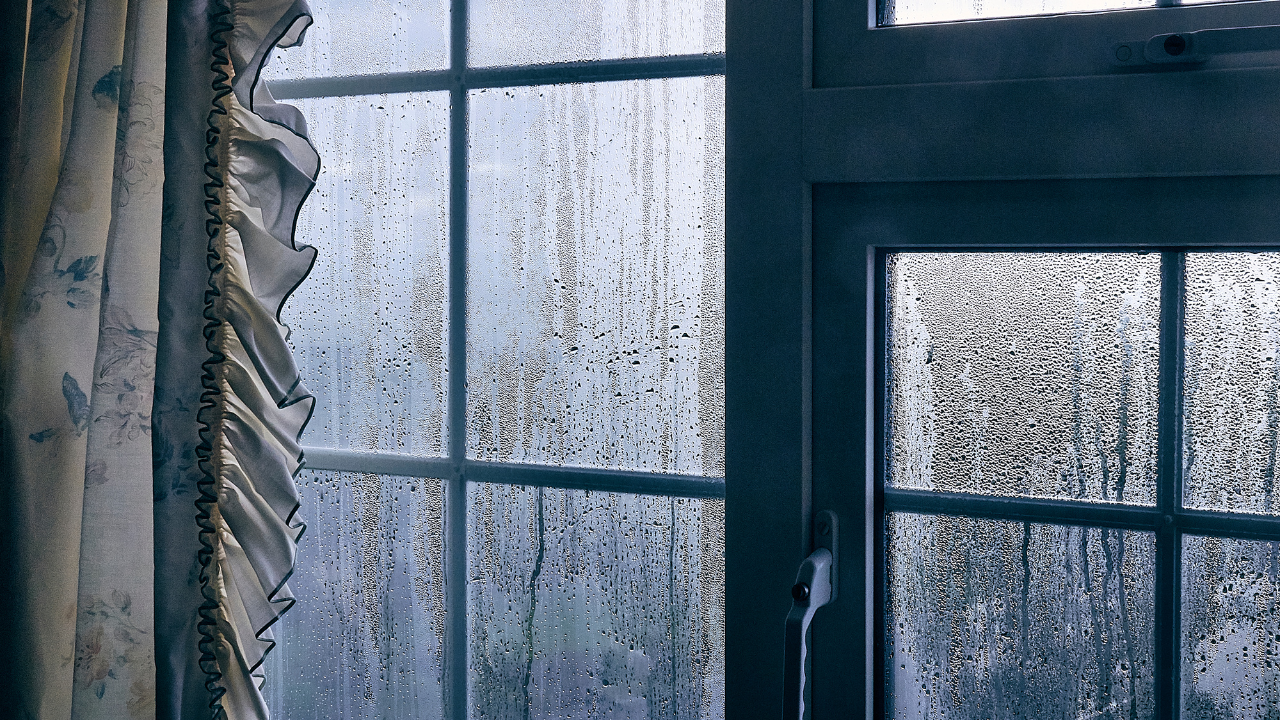 Why Are My Windows Foggy? Winter Condensation Fixes