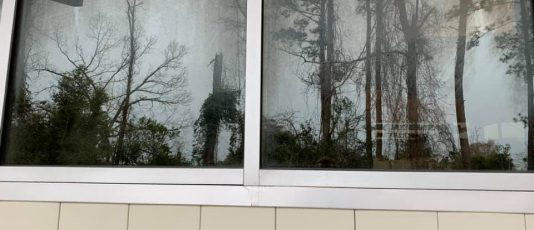 A Window Hero professional uses specialized equipment to clean a ground floor window of a home, as seen from inside.