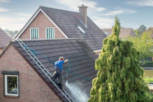 man on ladder cleaning roof with pressure washer 1